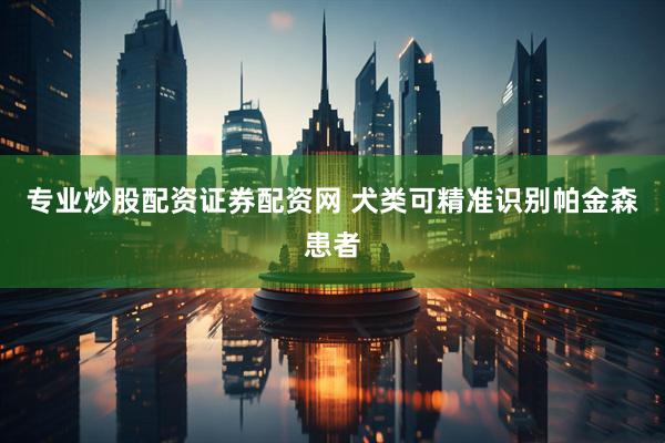专业炒股配资证券配资网 犬类可精准识别帕金森患者